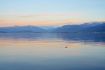 Obraz premium Lake Zurich and mountains during blue hour