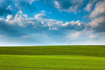 Fototapeta premium Abstract Green Fields and Blue Sky Background - beautiful