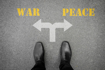 Decision to make at the cross road - war or peace