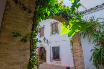 Obraz premium Typical houses in the tourist in the city of Cordoba, Spain