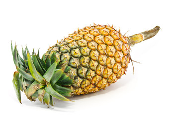 Pineapple on white background