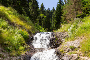 Waterfall in the mountains of the Caucasus