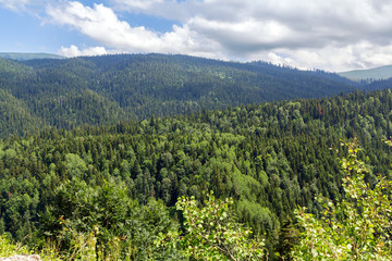 The tops of the Caucasian mountains in the summer