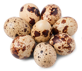 Fototapeta premium Quail eggs isolated on white background