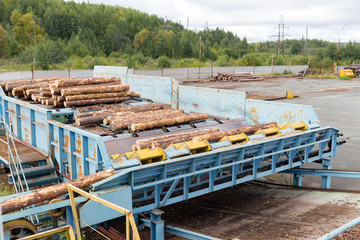 Automatic sorting logs diameter at the sawmill - obrazy, fototapety, plakaty