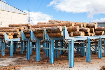 Automatic sorting logs diameter at the sawmill