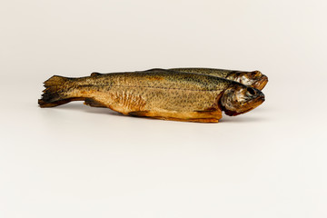 forellen
