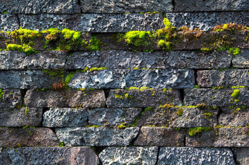  Wall made of natural stones with the growing moss