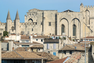 Fototapeta premium Avignon (Provence, France)