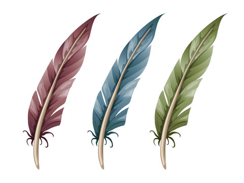 Set of three feathers