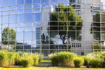 Bürogbäude mit Spiegelung 