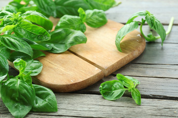 Green fresh basil on wooden background