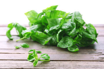 Green fresh basil on light background