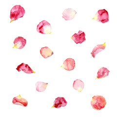 Obraz premium Malarstwo akwarelowe. Różowe i czerwone płatki róż.