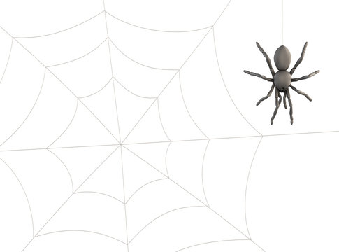 Spider hanging on web. 3d.