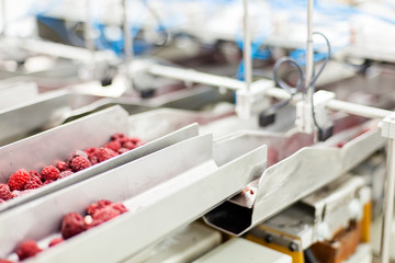 frozen raspberry processing business