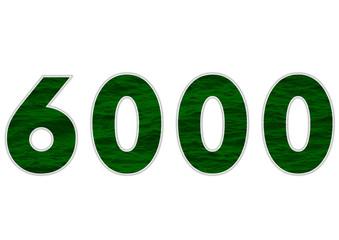 6000 sayısı