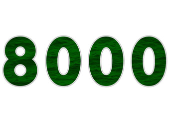 8000 sayısı