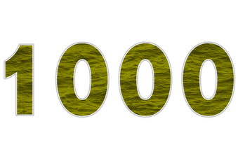 1000 sayısı