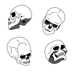 skull in different positions 