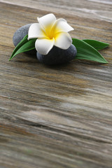Spa stones with flower on wooden background
