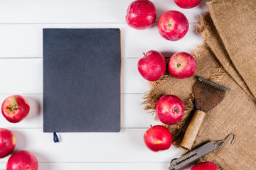 Notebook and apple on a white wooden background top view
