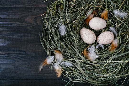 Eggs in a nest of green grass with feathers on a black wooden background top view
