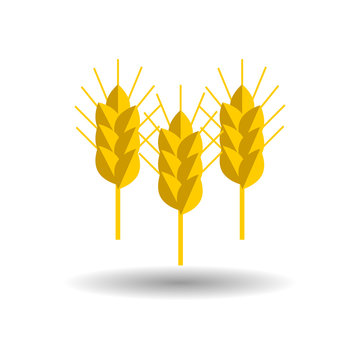 spike wheat vector icon set