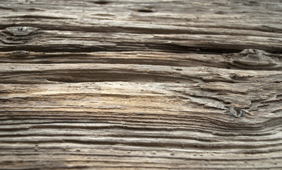 Fototapeta premium Altes Treibholz / Holzbrett aus Eiszeitsee, Schleswig-Holstein, Nahaufnahme, Hintergrund, Textur 