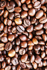 Coffee beans background