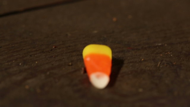 Candy Corn Trail on Floor. camera follow a trail of candy corn into the blurry dark. spooky, halloween
