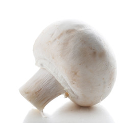 Champignon mushroom isolated on white background