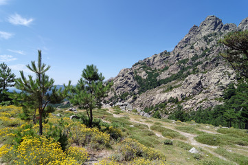 Fototapeta na wymiar col et montagne de Bavella en Corse
