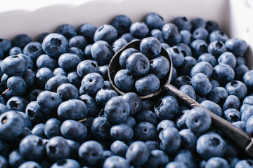 Blueberries in a porcelain plate
