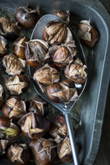 Roast chestnuts in a metal spoon