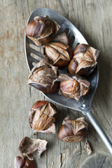 Metal spoon with roasty chestnuts