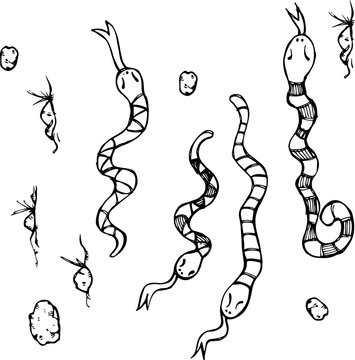 Snakes sketch