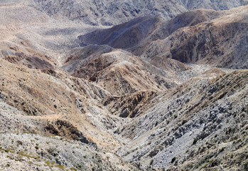 View from Ryan Mountain, Joshua Tree National Park