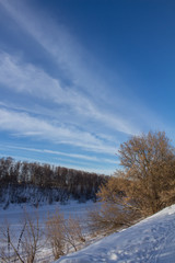 Clouds on the blue sky and winter forest