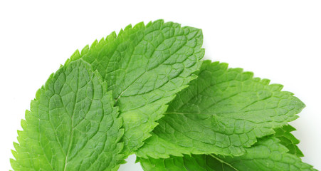 Fragrant mint leaves isolated on white, macro