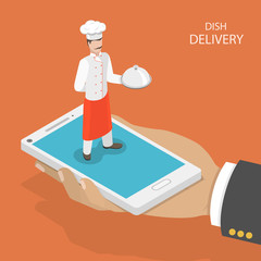 Dish fast delivery flat isometric vector concept.