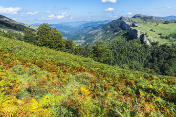 Leniz valley from Kurutzeberri mountain, Guipuzcoa (Spain)