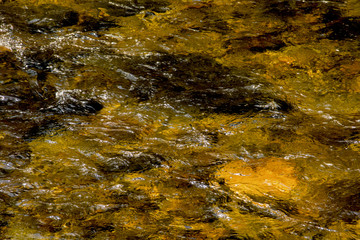 Gentle flow, Sugar River, wavy surface, Newport, New Hampshire
