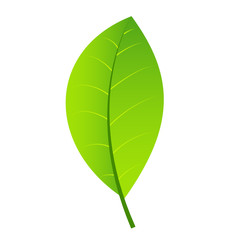 Leaf green icon