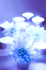 Blue flower and tea candles