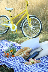 Old yellow bicycle and picnic snack on checkered blanket on grass in park