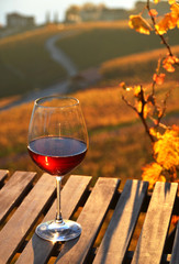 Wine against vineyards in Lavaux, Switzerland