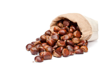 fresh  chestnuts in sack bag on white background