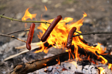 Sausages on fire in the wood