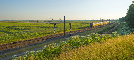 Obraz premium Electric train riding through nature in summer